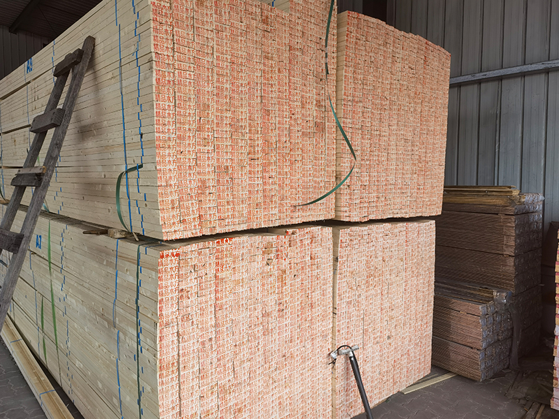 白松樟子松批发